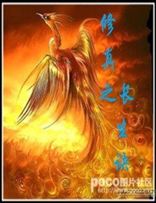 《修真之長生訣》