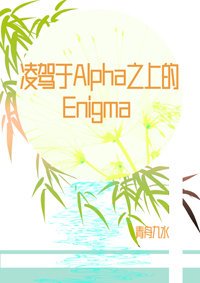 《凌駕於Alpha之上的Enigma》