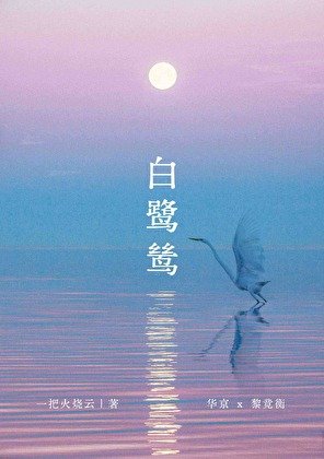 白鷺鷥